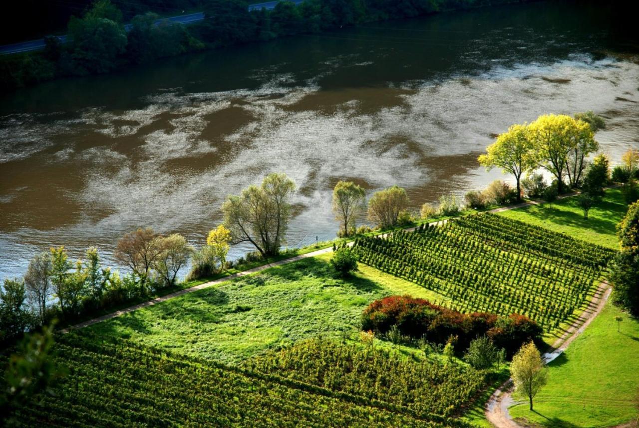 Weingut Helmut Barzen Apartment Zell an der Mosel Exterior photo